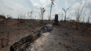 Военни самолети са били изпратени да гасят горящите тропически гори