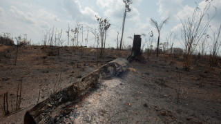 Военни самолети обливат с вода горящата джунгла в Амазония