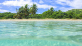  Съоснователят на Гугъл Лари Пейдж си е купил пети остров 