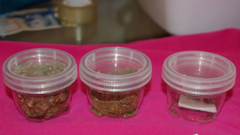 Изображение 340392