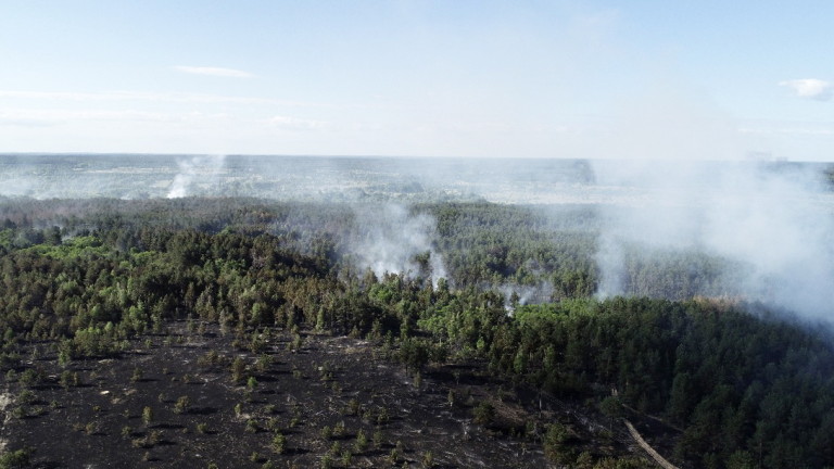 Изображение 360592