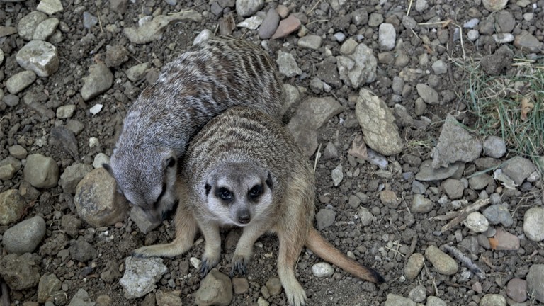 Изображение 540592