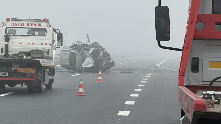 Изображение 740892