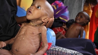 Глад умори 110 души в Сомалия, милиони гладуват