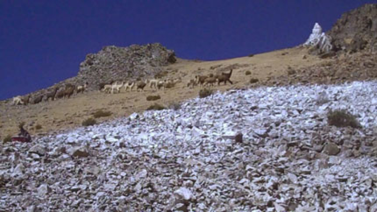 Изображение 101992