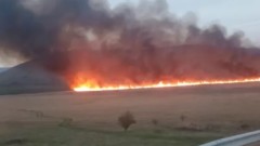 Пожарът е нанесъл тежки екощети на Алдоморовското блато