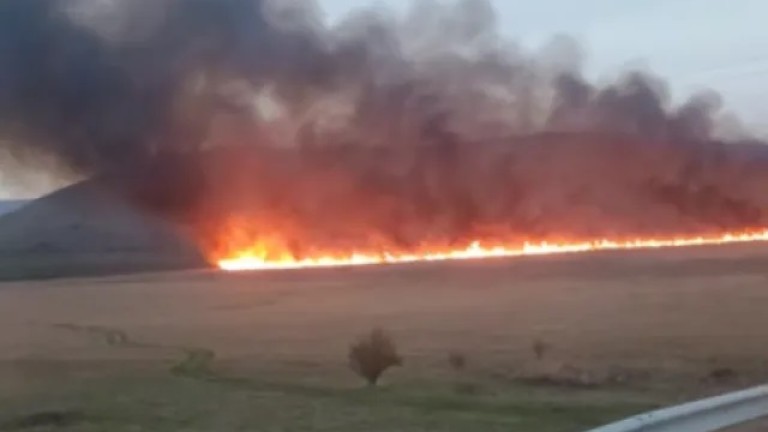 Изгасиха пожара в Алдомировското блато