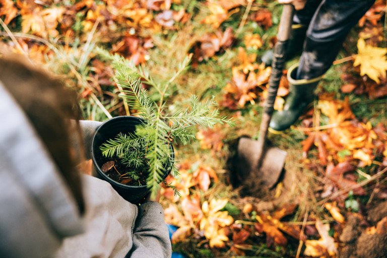 Борът работи добре на почвата