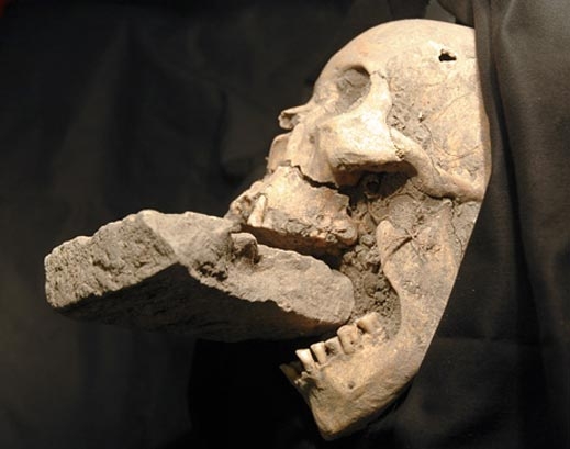 Учени откриха череп на „вампир“