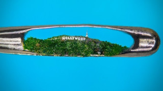 Творческият път на Уилард Уигън е силно повлиян от майка