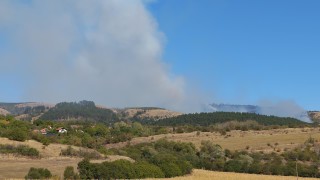 Голям пожар избухна над село Ракита община Сливница съобщава БГНЕС Огънят