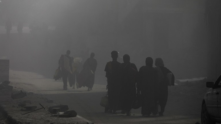 Изображение 733492