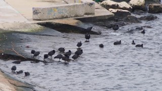 Намериха тялото на второто дете което беше повлечено от вълна