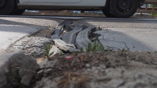 Започва ремонт на моста при бившите хали в Благоевград по