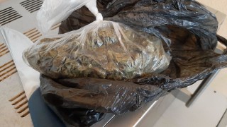 31 души са задържани при специализираната полицейска операция срещу битовата