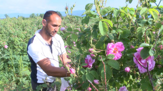 Кратка кампания с по ниски добиви и много неясноти това