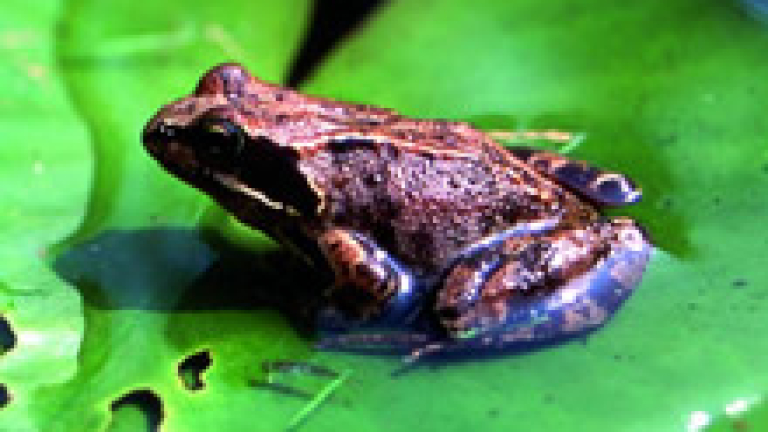 Изображение 5492