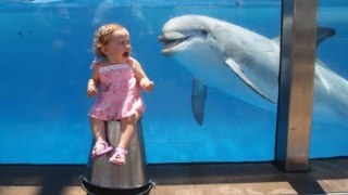 Деца в смешни кадри (СНИМКИ)