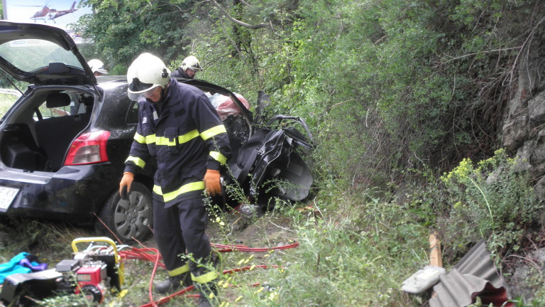 Изображение 295592