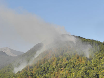 Пожар избухна в резерват "Ибър" над Костенец