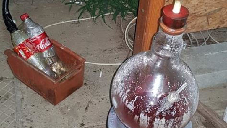 Изображение 486292