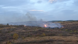 Пожар в близост до столичния Околовръстен път вдигна огнеборците и