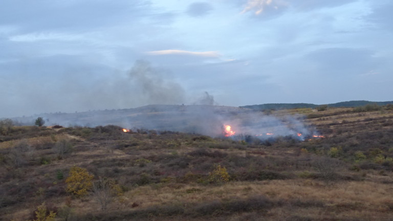 Изображение 386392