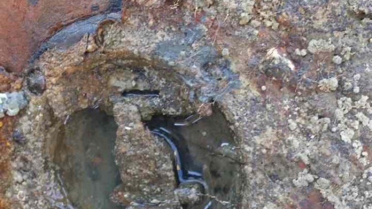 Изображение 297192