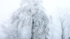 Жълт код за студ в цялата страна