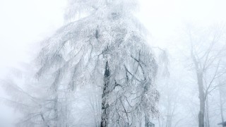 НИМХ издаде жълт код за студено време в цялата страна Днес