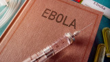  СЗО разгласи края на епидемията от ебола в Гвинея 