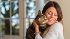 Как ни възприемат котките