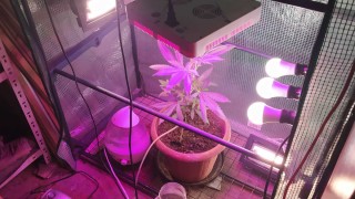 Повторен оглед ще покаже от кога е функционирала нарколабораторията в