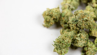 Македонските митнически власти заловиха над един тон марихуана на гранично пропускателния пункт