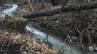 Повече от 1 4 от реките в света са замърсени с