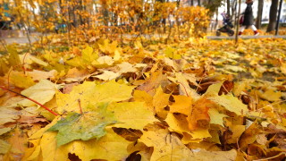 Днес на места в планинските и източните райони от страната