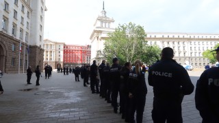 Около 50 тина души се събраха на протест пред президентството преди