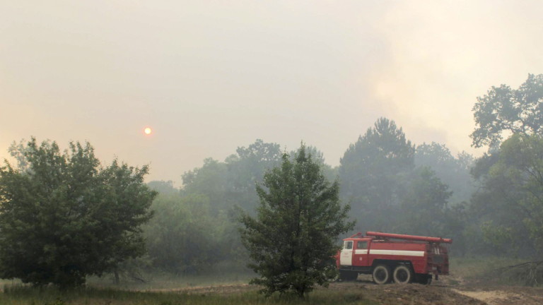 Изображение 360593