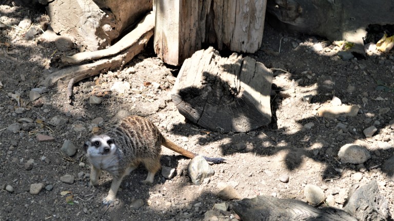 Изображение 540593