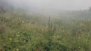 Пожарът в Рила планина продължава да гори и вече е