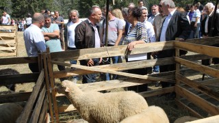 Земеделското министерство продължава да подкрепя животновъдите
