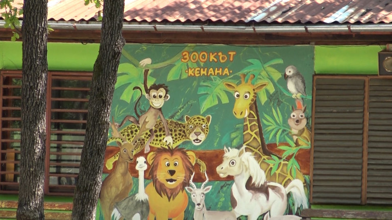 Международна комисия проверява условията в зоопарковете в Хасково и Димитровград,
