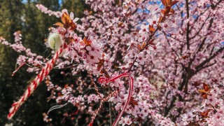 Днес вятърът от северозапад отново ще се усили до