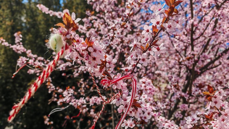 Вятърът от северозапад отново ще се усили