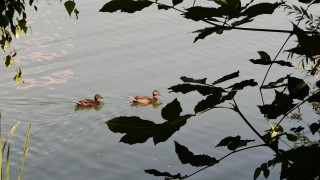 Синоптиците от НИМХ обявиха оранжев код за опасно време в