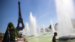 Горещата вълна в Париж показа липсата на дървета в града