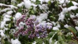  Дъжд и сняг! Студен фронт минава през България 