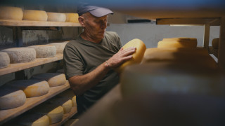 Все още нямаме лек за деменцията но все по ясно разбираме