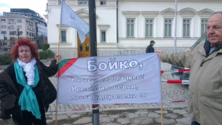 30-ина души, подкрепящи Борисов, се събраха пред НС
