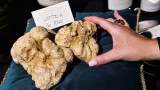 Италия, най-скъпият бял трюфел и за колко беше продаден на търг